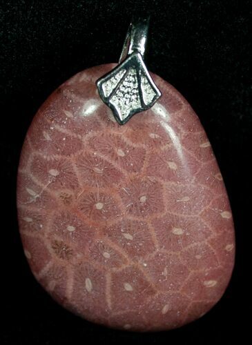 Red Fossil Coral Pendant - Million Years Old #5999